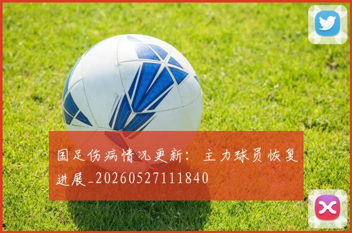 国足伤病情况更新:主力球员恢复进展_20260527111840