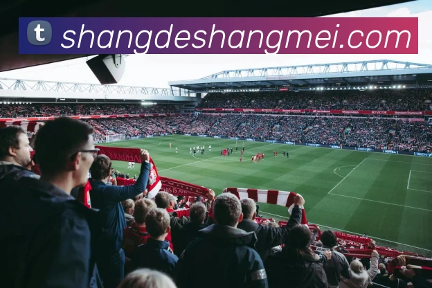 奖项证书